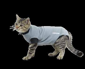 BUSTER Body Suit is perfect for n Postoperative care n Wound care n Recovery due to spaying/neuting n Hot spots and other skin ailments n In cases of skin diseases n Incontinence, urogenital or