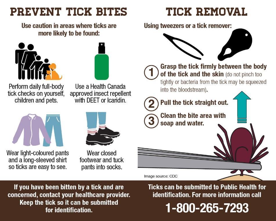 Take precautions against tick larva bites during these times. Enlarged Quickly detecting and removing ticks through daily tick checks is the best View way to prevent Lyme disease.