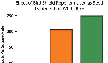 (Chart Below) In field Trials in Panama, Goose Chase / Bird Shield was sprayed over presoaked seed to test its effectiveness in reducing bird predation on sprouting rice.