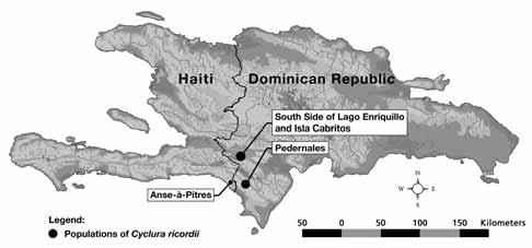 The species, which is sympatric with the Rhinoceros Iguana (Cyclura cornuta), has a very limited geographic distribution in the southwestern Dominican Republic.