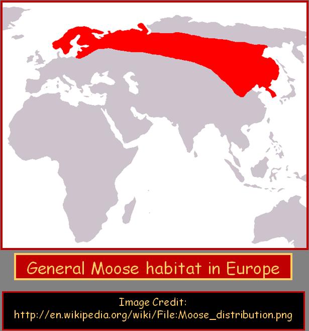 where their preferred food is available. Moose also live in Europe, especially in Norway, Sweden, Finland, Poland, the Baltic States, and Russia.
