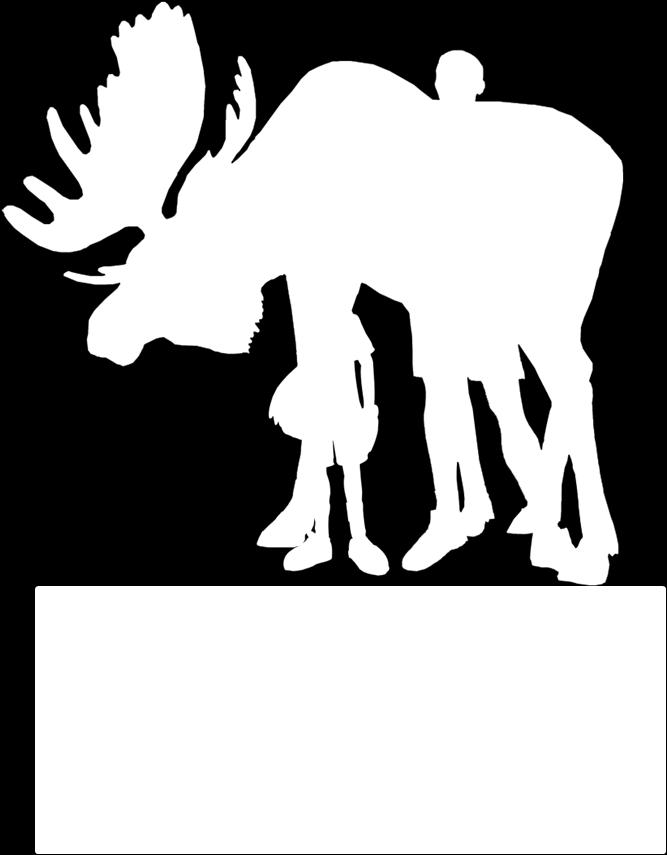 The average length of a moose print would be 7 inches from front to back,