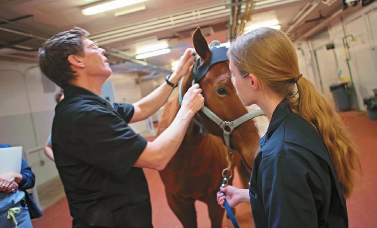 edu/esmc/ With generous support of Purdue University s Veterinary Teaching Hospital and the
