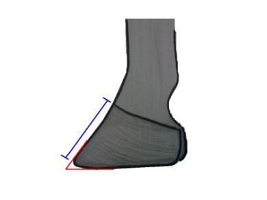 Hoof Trimming - Measure/Observe: Length toe is trimmed to: measure dorsal surface from coronary band to toe (Figure 1, A) Risk area Check or circle your findings: Good/Goal For more information,