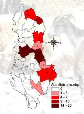 The highest prevalence was identified in Tirana district with 61% in bovine and 20% in small ruminants.