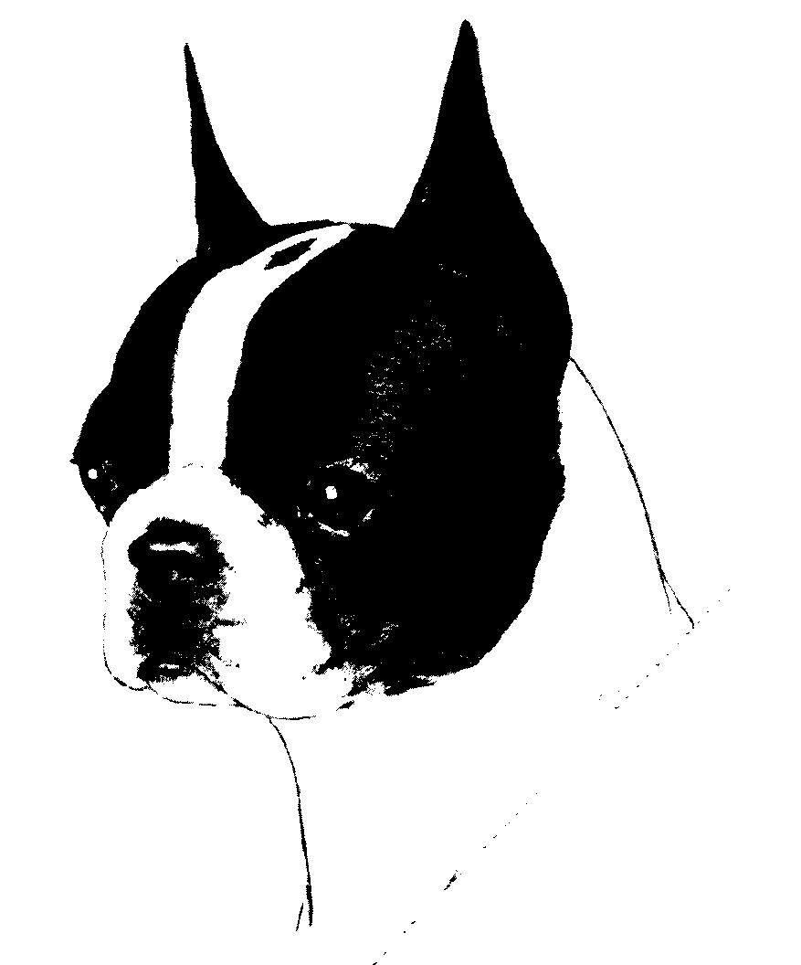 PASADENA BOSTON TERRIER CLUB Back-to-Back Specialties and Sweepstakes Each event limited to 100 dogs (Licensed by the American