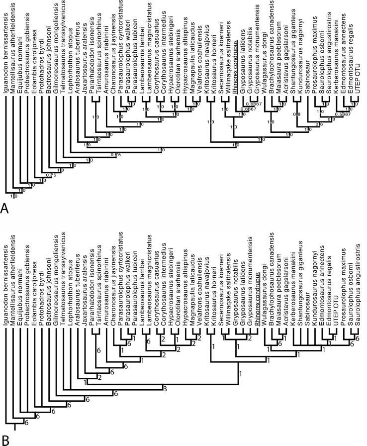 New hadrosaurid from the Campanian of Utah 11 Figure 8. Maximum parsimony consensus trees. A, majority rule; B, strict consensus. Numbers are Bremer support values.