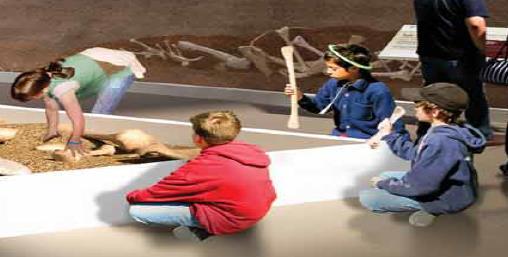 LEVEL FOUR $100,000 Interactive Fossil Lab Visitors put on their palaeo