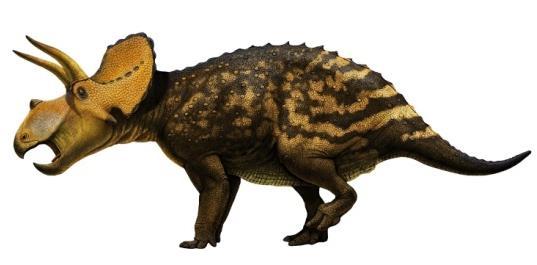 LEVEL SEVEN $25,000 each Dinosaur #7: Eotriceratops Have your name attached to one of the newest dinosaur species discovered in Alberta in the last decade.