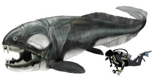 LEVEL SEVEN $25,000 each Dinosaur #9: Dunkleosteus Have your name attached to one of the newest dinosaur species discovered in Alberta in the last decade.