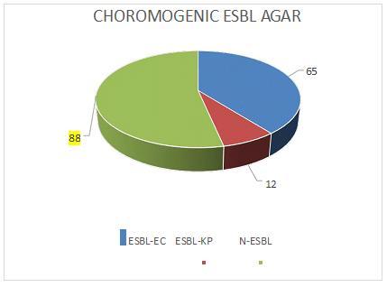 Chromogenic ESBL Agar Out of the 78 isolates that were positive in the screening test, ESBL production was confirmed by Chromogenic ESBL Agar in 77 (98.71 %) isolates.