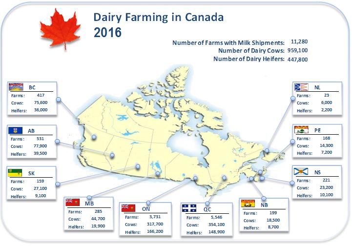 The Canadian Dairy