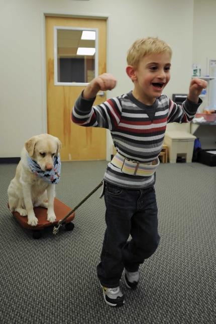 Therapy animal Trained in basic or
