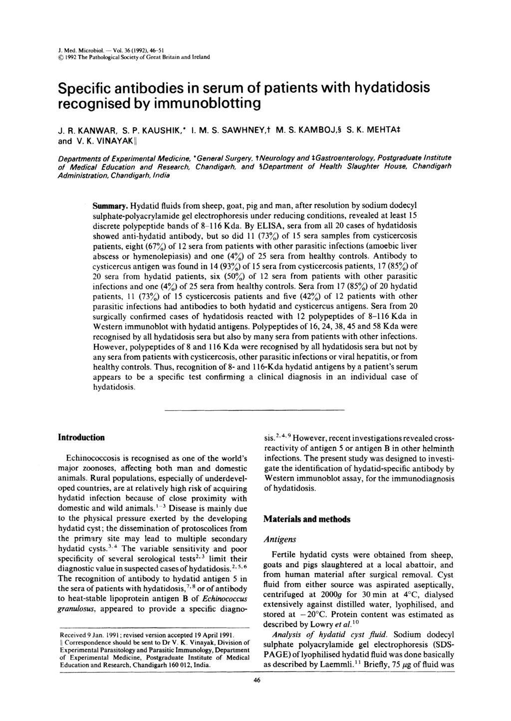 1. Med. Microbiol. - Vol. 36 (1992). 6 5 1 0 1992 The Pathological Society of Great Britain and Ireland Specific antibodies in serum of patients with hydatidosis recognised by immunoblotting J. R.