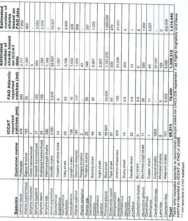 Table 33: Highly migratory sharks reported caught in ICCAT waters in 2009, from Oceana, 2011.