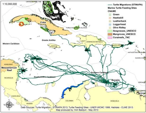 Figure 11: Satellite Tracking of Marine Turtles (to date) from Bonaire Molecular genetics can also be used to determine links between turtles at nesting and foraging habitats.