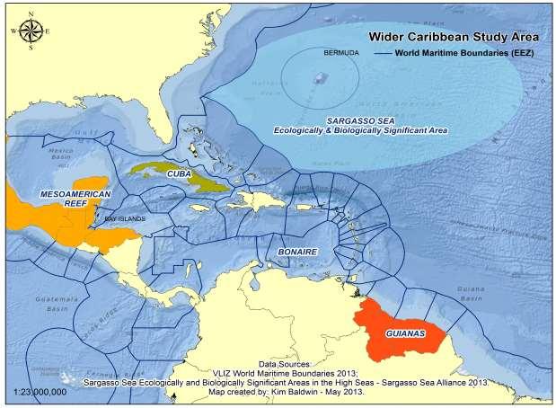 Figure 13: Location of the Sargasso Sea with WWF Priority Areas and and EEZs Shown According to Laffoley et al (2011) the hatchling and juvenile stages of green, hawksbill, loggerhead and Kemp s