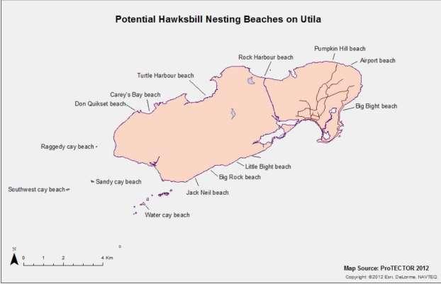 Figure 19: Potential Nesting Beaches on Utila and Los Cayitos based on