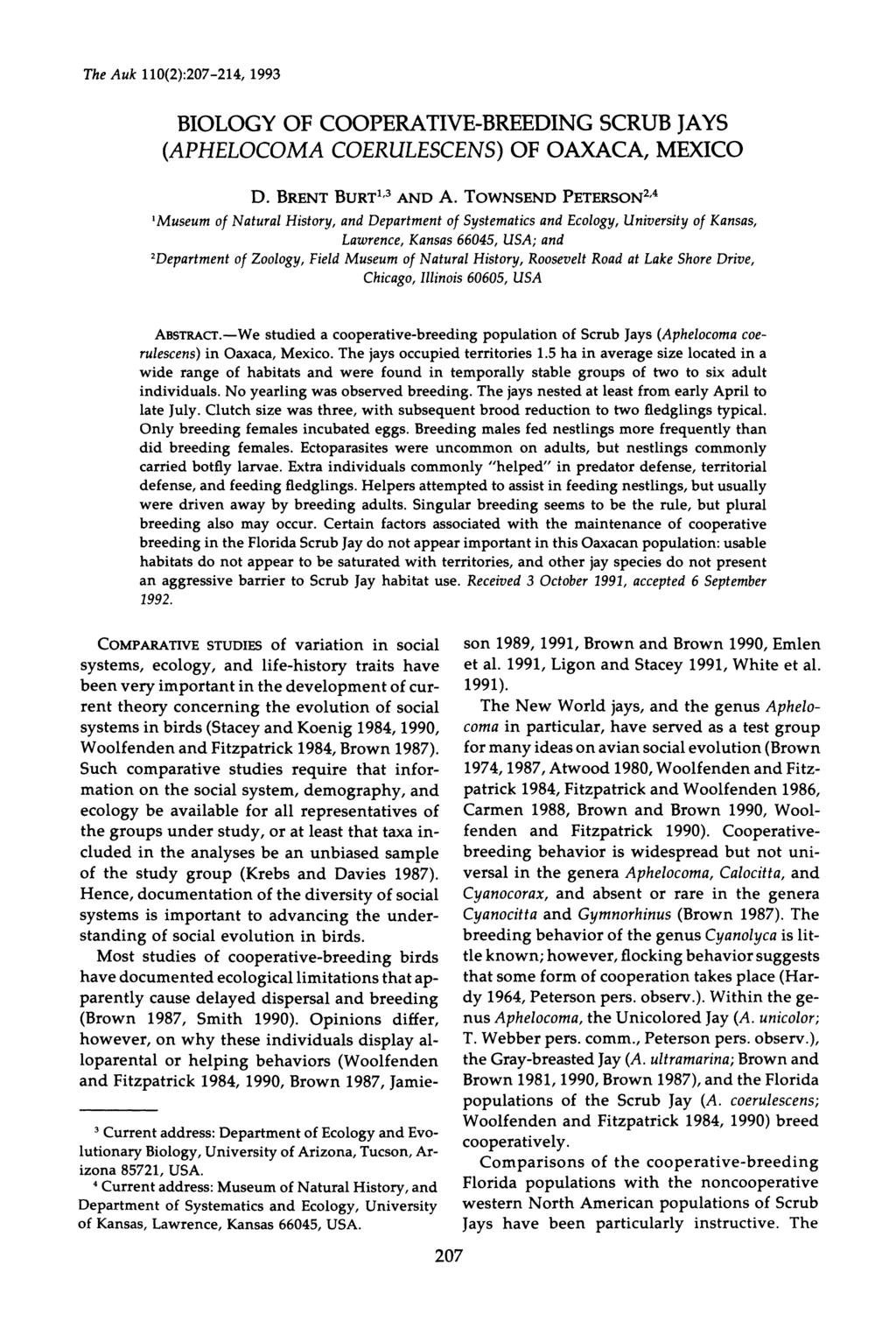 The Auk 110(2):207-214, 1993 BIOLOGY OF COOPERATIVE-BREEDING SCRUB JAYS (APHELOCOMA COERULESCENS) OF OAXACA, MEXICO D. BRENT BURT1'3 AND A.