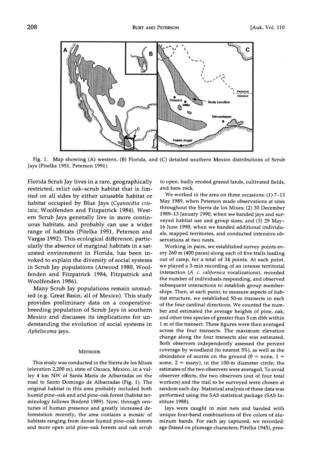 208 BURT AND PETERSON [Auk, Vol. 110 k~~~~~~~~~~~~' \ t X 4 1 1 '~~~~~~~~~~~~~-4 Sludy Localion M 12! 1L *.X.;F.Ft_B;;P-~~~~~~~~~~~~~~~~~X Fig. 1. Map showing (A) western, (B) Florida, and (C) detailed southern Mexico distributions of Scrub Jays (Pitelka 1951, Peterson 1991).