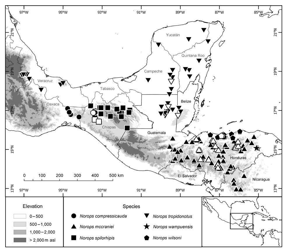 Fig. 9. Map indicating collecting localities of the species related to Norops tropidonotus. Each symbol can represent one or more adjacent localities.