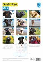 2019 Slimline Puppy Calendar This month-to-view