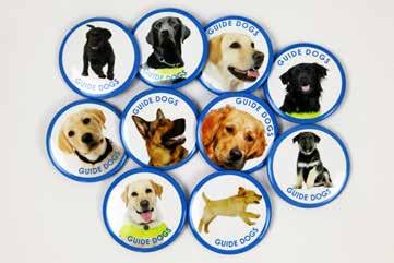 00 Code: 256004 Guide Dogs Picture Button