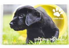 All cards are Guide Dogs branded and have