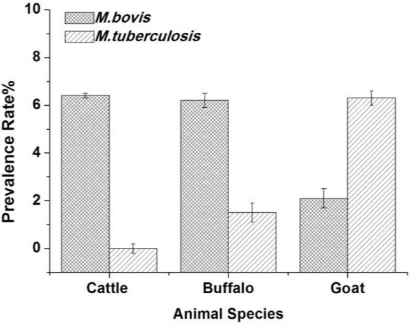 4 Fig. 2: Prevalence of M. bovis and M. tuberculosis in in cattle, buffaloes and goats. Table 2: Prevalence of M. tuberculosis and M. bovis on the basis of PCR Species M. tuberculosis M.