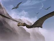 Ectothermic Archosauria: PTEROSAURIA Non-bird Dinosauria extinct by end of