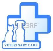 Veterinarians / Pharmacists Role in the detection of quality defects Visual aspects (colour, consistency, particle Defect in the label Pharmacovigilance VICH GL24: Pharmacovigilance of veterinary