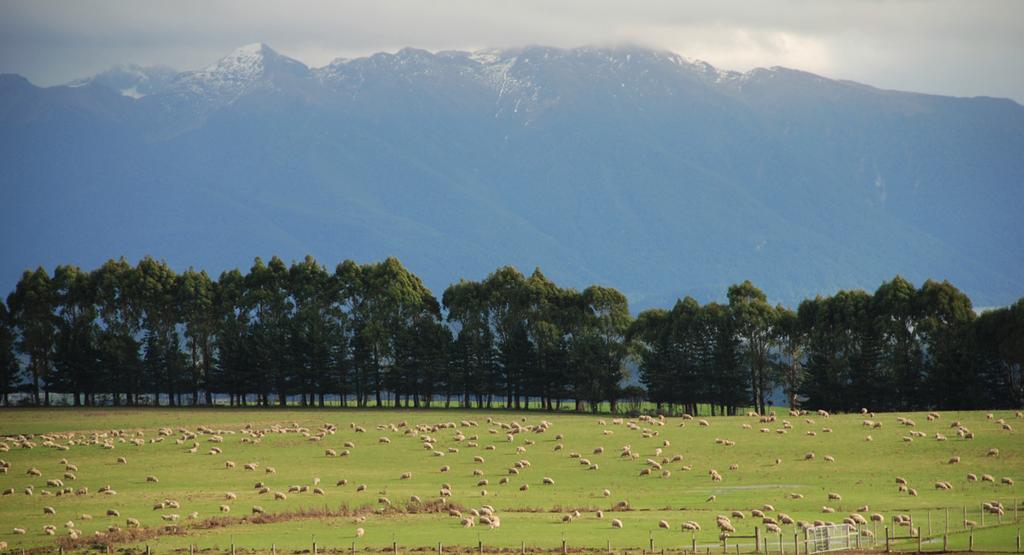 LANDCORP STUART FARM Landcorp Farming Ltd (LFL) Stuart Farm is 2,750 effective hectares wintering 28,000 SU in the Te Anau Basin, annual rainfall of around 1,000mm.