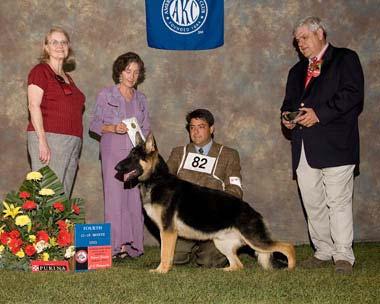 80NEW ER S TRZN, DN135635/01, 08/08/05. Breeder, D. Comeau & J. Dupzyk & S. Stuck7. By Rohan s Escalade of Utopia ( New Era Hug n Kisses Millertime.
