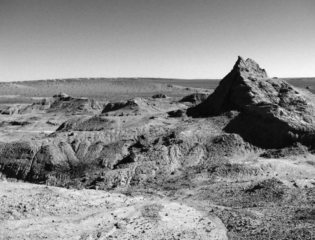 2 American Museum NovITATES No. 3722 Figure 1. View of the discovery site looking west. Picture was taken 100 m east of 3 in Norell and Makovicky (1997: fig. 3).