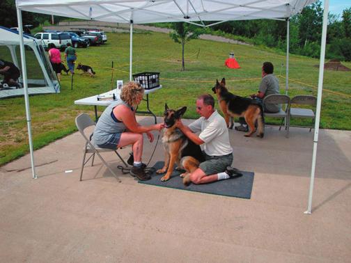 German Shepherd Fun Day Sunday July 11 we held our first German Shepherd Fun Day at Verna Kubik s Kubistraum German Shepherds in Houlton WI Although we had weather predictions of a 60% chance of