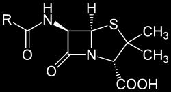 enzymes (penicillinases) that destroy penicillin Methicillin and