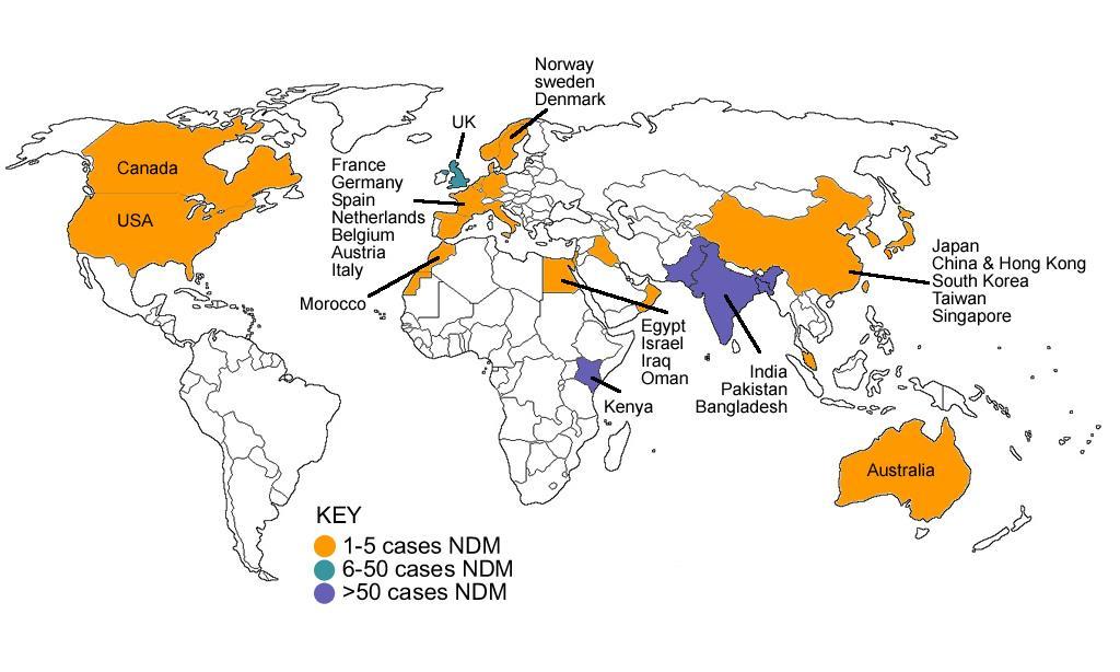 Worldwide spread of NDM-1 CRE 2008 NDM-1 in Sweden, patient had been