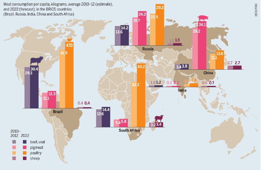 By 2030, BRICS population will increase by 13% compared to animal