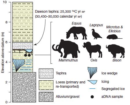 Metagenomic analysis of 30,000 year old permafrost samples b-lactam