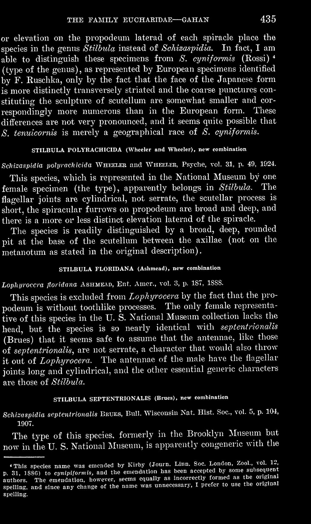 STILBULA POLYRACHICIDA (Wheeler and Wheeler), new combination Schizaspidia polijracliicida Wheeleb and Wheexee, Psyche, vol. 31, p. 49, 1924.