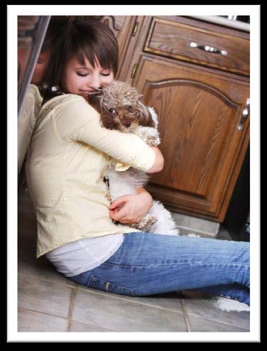 Shelter in Place / Staying Where You Are There are some emergencies and disasters when the safest action for you and your pets is to stay together in your current location, such as a gas leak,