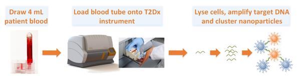 Background T2Bacteria Panel (T2B) is an automated, rapid, culture-independent diagnostic test that identifies