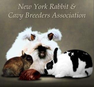 ld Timers Club is a member of the NY Rabbit & Cavy Breeders Assoc. WWW.NYRCBA.CM Points count toward NYR&CBA sweepstakes! This is an ARBA sanctioned pen and Youth Show.