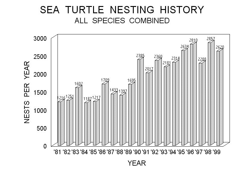 RESULTS Figure 1 shows the historical trend in the total number of sea turtle nests deposited in Broward County since 1981. A total of 2620 nests were counted in 1999 which was 8.