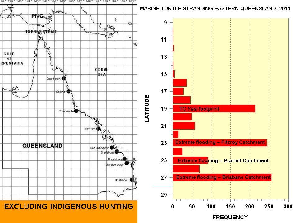 A. Distribution of reported marine turtle strandings by 1 o latitude blocks along the east