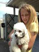Madison chose Bichon FurKids Rescue for her project. Madison is 11 years old and attends Mariposa Elementary School in Brea, CA.