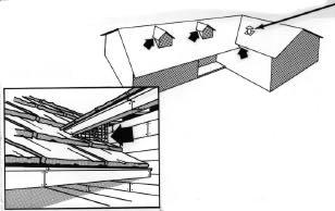 3. At the junction of roof pitches the overhanging roof may form a triangular recess which allows rat entry at the very back. Most of these areas are inaccessible.