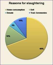 % Reasons for keeping cattle 15 Home consumption: 90 Percentage of respondents milking