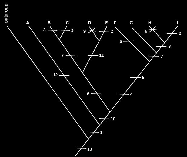 4 5. Use the tree of the relationships among 9 species (A through I) in the bird