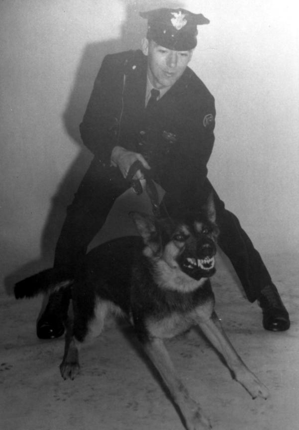 The K-9 Unit Patrolman William Loux with his dog Duke - 1961 Man s best friend has been used in law enforcement for generations.